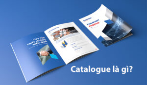 Catalogue chất lượng cao